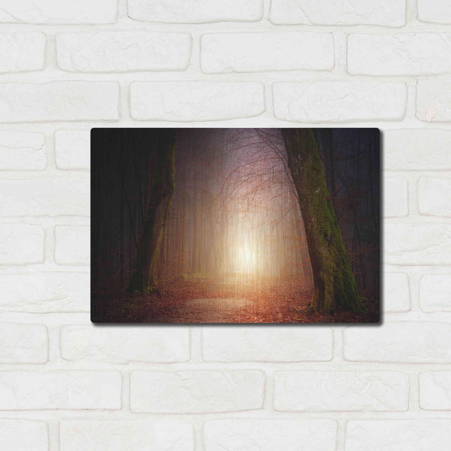 Luxe Metal Art 'The Unknown Path' by Epic Portfolio Metal Wall Art,16x12
