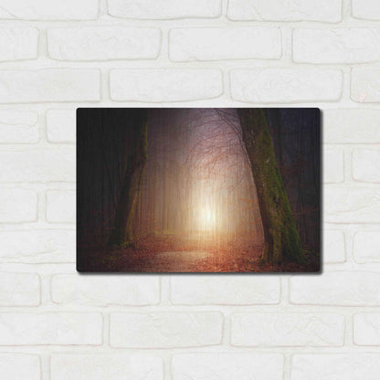 Luxe Metal Art 'The Unknown Path' by Epic Portfolio Metal Wall Art,16x12