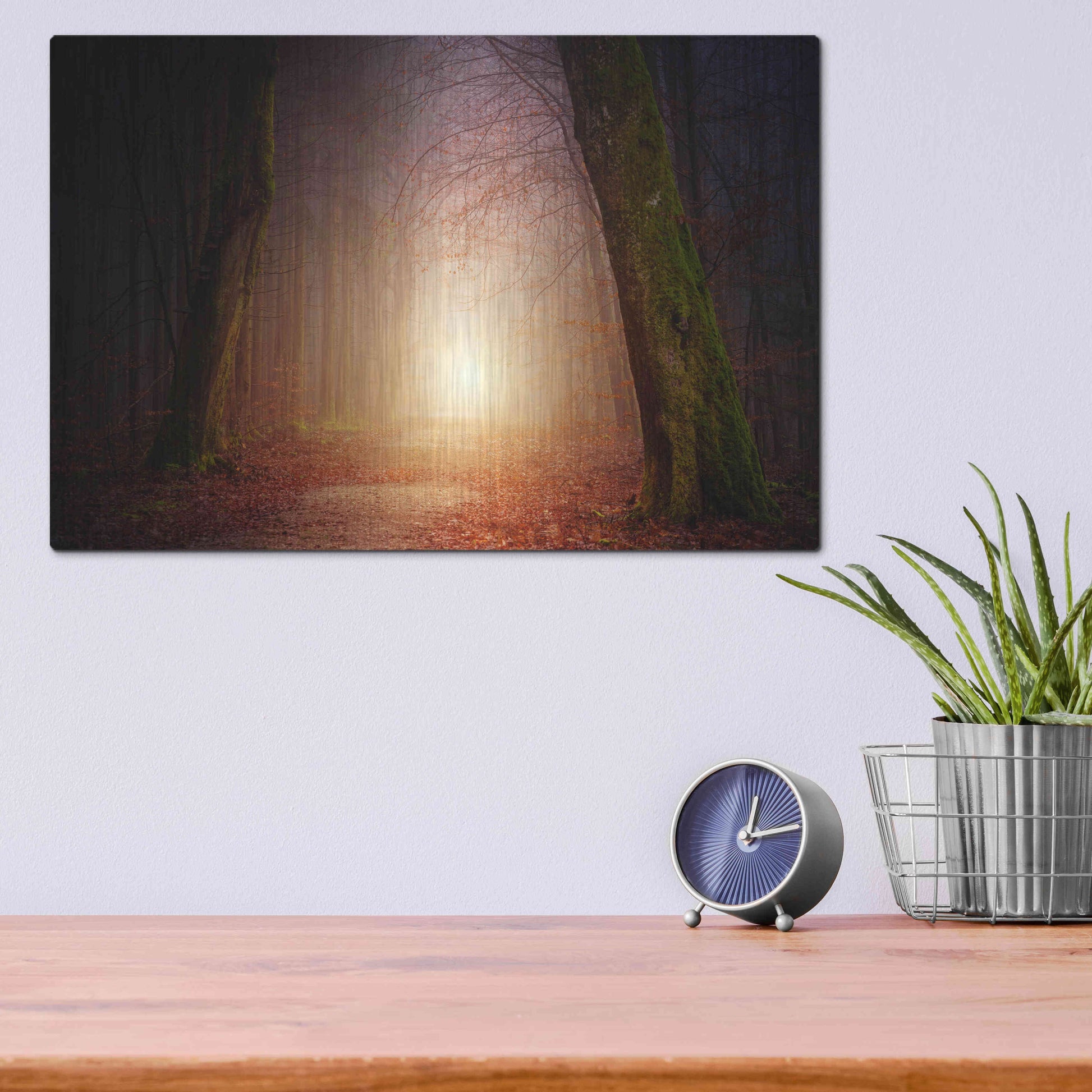 Luxe Metal Art 'The Unknown Path' by Epic Portfolio Metal Wall Art,16x12