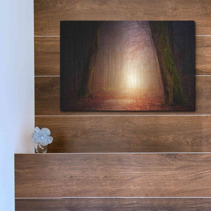 Luxe Metal Art 'The Unknown Path' by Epic Portfolio Metal Wall Art,16x12