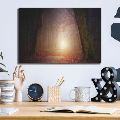 Luxe Metal Art 'The Unknown Path' by Epic Portfolio Metal Wall Art,16x12