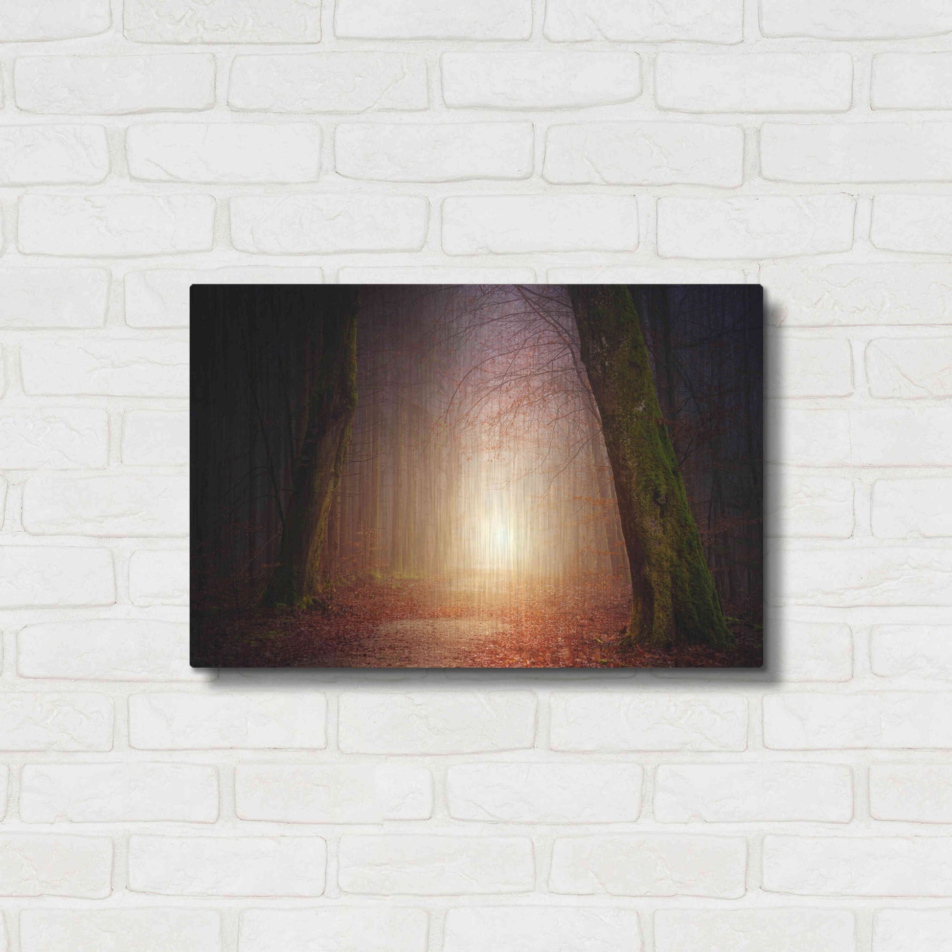 Luxe Metal Art 'The Unknown Path' by Epic Portfolio Metal Wall Art,24x16
