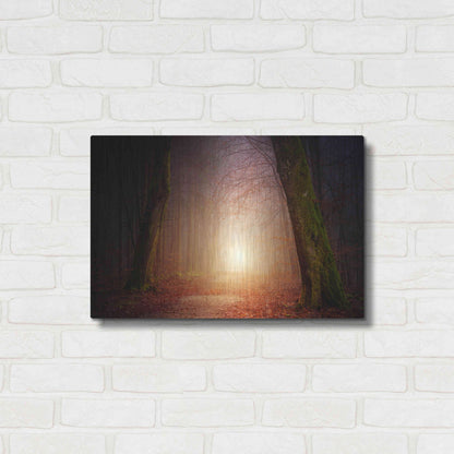 Luxe Metal Art 'The Unknown Path' by Epic Portfolio Metal Wall Art,24x16