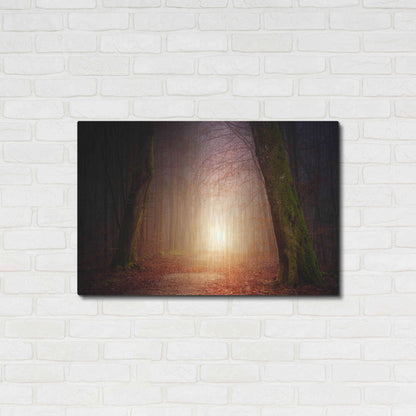 Luxe Metal Art 'The Unknown Path' by Epic Portfolio Metal Wall Art,36x24