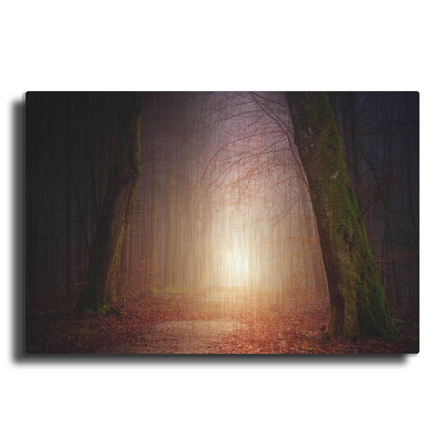 Luxe Metal Art 'The Unknown Path' by Epic Portfolio Metal Wall Art