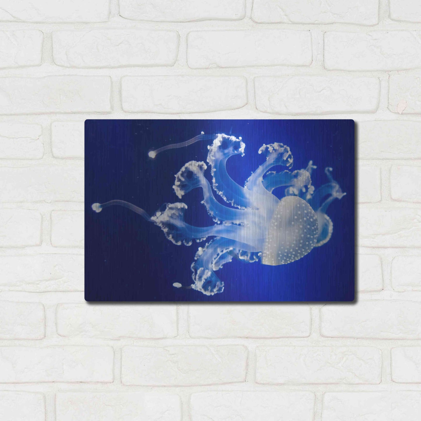 Luxe Metal Art 'Translucent Jellyfish' by Epic Portfolio Metal Wall Art,16x12