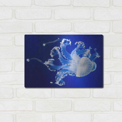 Luxe Metal Art 'Translucent Jellyfish' by Epic Portfolio Metal Wall Art,16x12