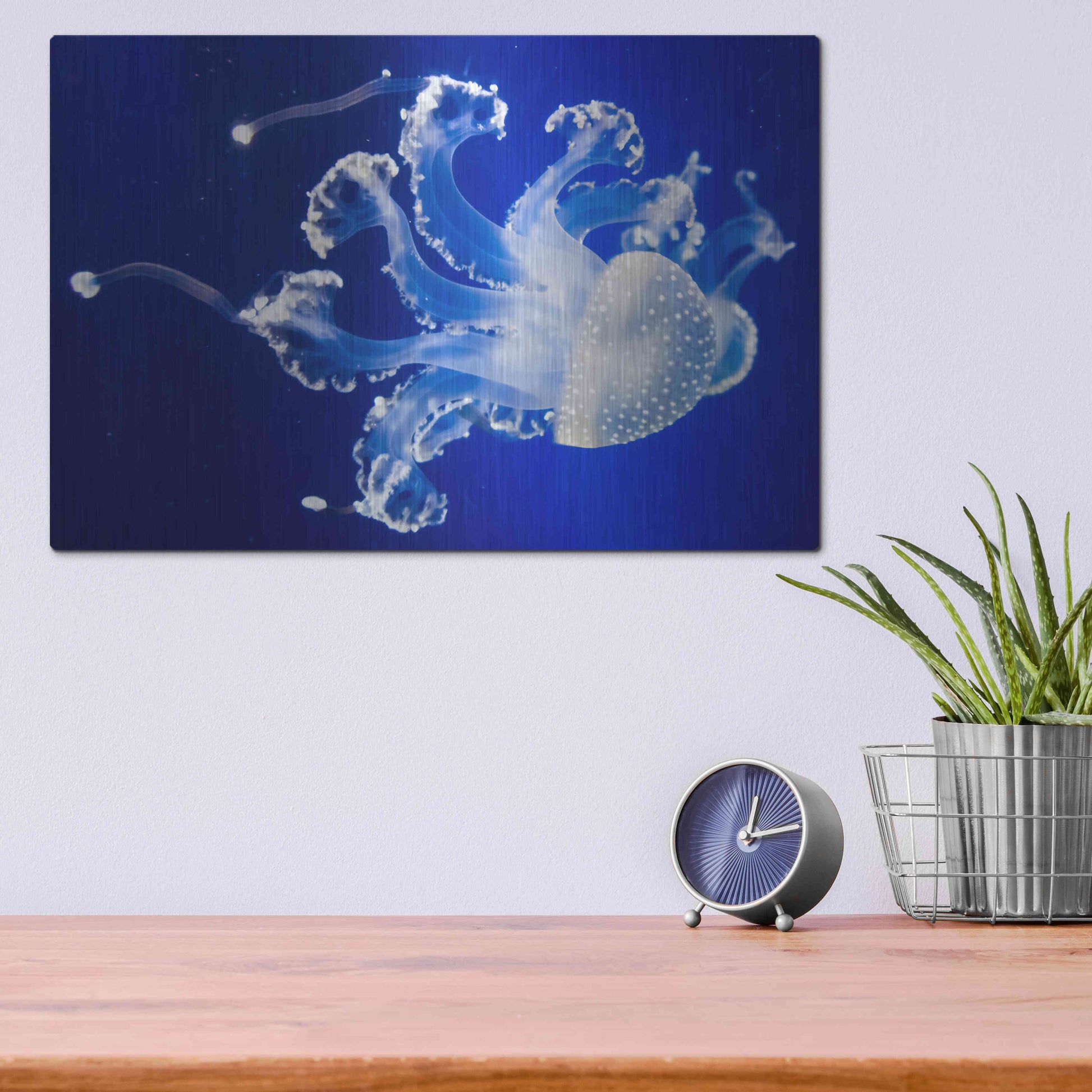 Luxe Metal Art 'Translucent Jellyfish' by Epic Portfolio Metal Wall Art,16x12