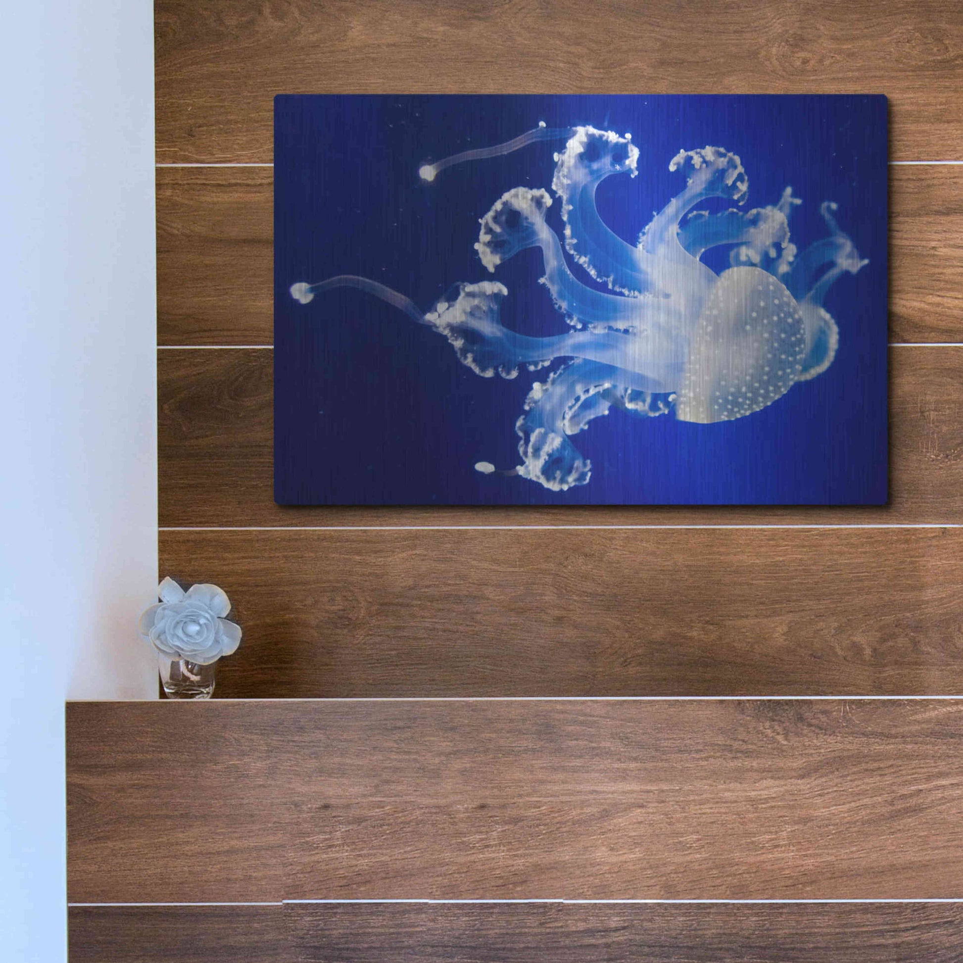 Luxe Metal Art 'Translucent Jellyfish' by Epic Portfolio Metal Wall Art,16x12