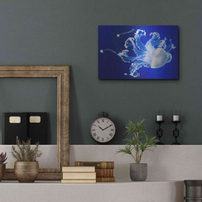 Luxe Metal Art 'Translucent Jellyfish' by Epic Portfolio Metal Wall Art,16x12