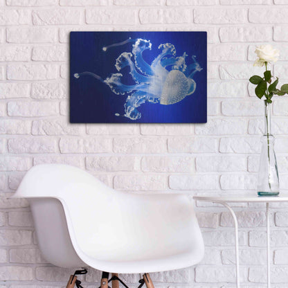 Luxe Metal Art 'Translucent Jellyfish' by Epic Portfolio Metal Wall Art,24x16