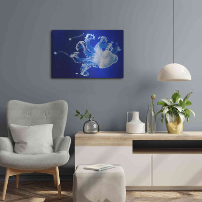 Luxe Metal Art 'Translucent Jellyfish' by Epic Portfolio Metal Wall Art,24x16