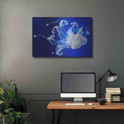 Luxe Metal Art 'Translucent Jellyfish' by Epic Portfolio Metal Wall Art,36x24