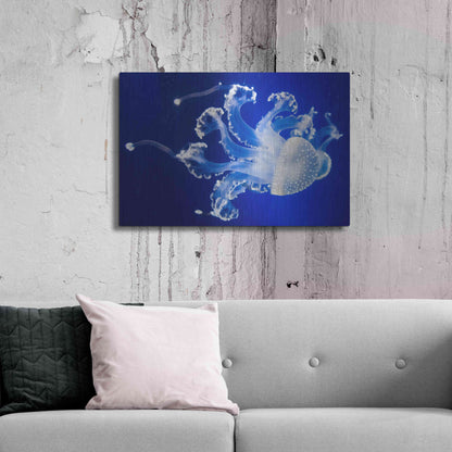 Luxe Metal Art 'Translucent Jellyfish' by Epic Portfolio Metal Wall Art,36x24
