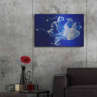 Luxe Metal Art 'Translucent Jellyfish' by Epic Portfolio Metal Wall Art,36x24
