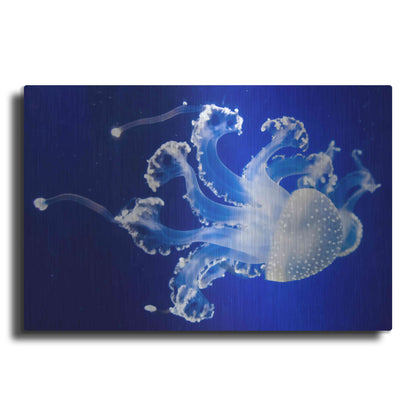 Luxe Metal Art 'Translucent Jellyfish' by Epic Portfolio Metal Wall Art