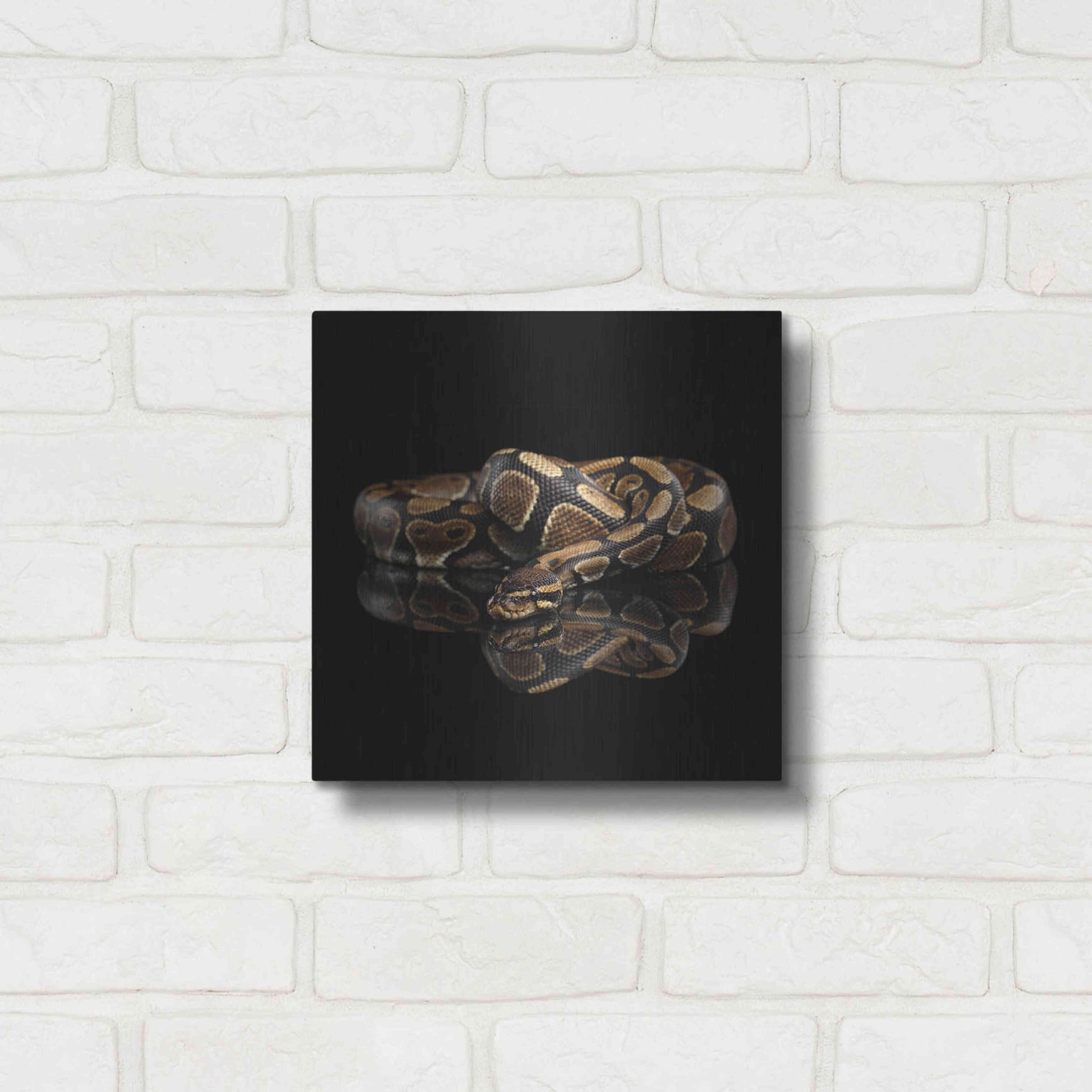 Luxe Metal Art 'Twisted' by Epic Portfolio Metal Wall Art,12x12