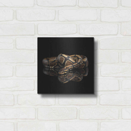 Luxe Metal Art 'Twisted' by Epic Portfolio Metal Wall Art,12x12