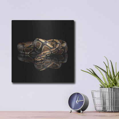 Luxe Metal Art 'Twisted' by Epic Portfolio Metal Wall Art,12x12