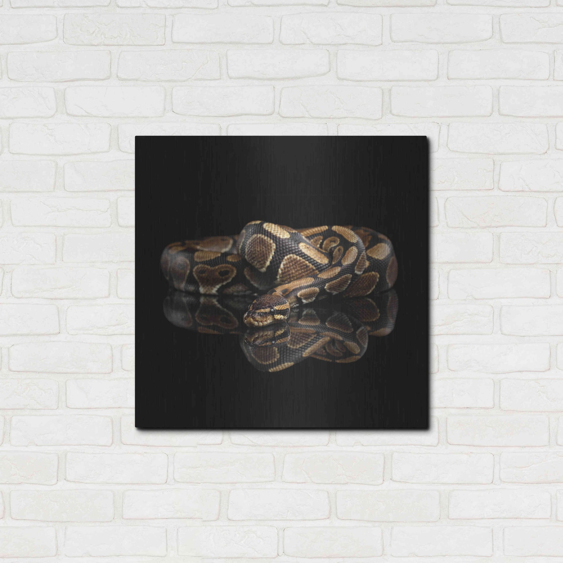 Luxe Metal Art 'Twisted' by Epic Portfolio Metal Wall Art,24x24