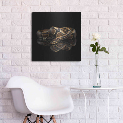 Luxe Metal Art 'Twisted' by Epic Portfolio Metal Wall Art,24x24
