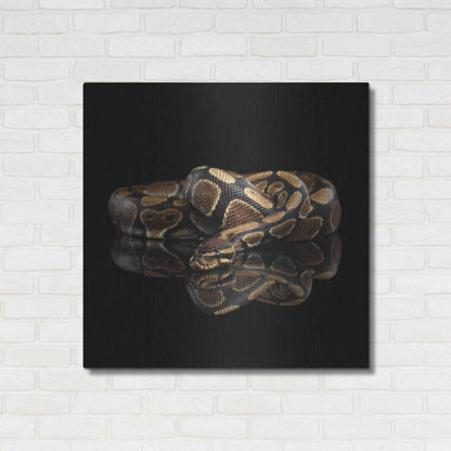 Luxe Metal Art 'Twisted' by Epic Portfolio Metal Wall Art,36x36