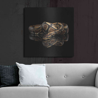 Luxe Metal Art 'Twisted' by Epic Portfolio Metal Wall Art,36x36