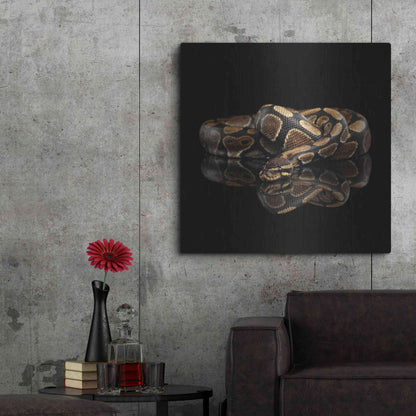 Luxe Metal Art 'Twisted' by Epic Portfolio Metal Wall Art,36x36