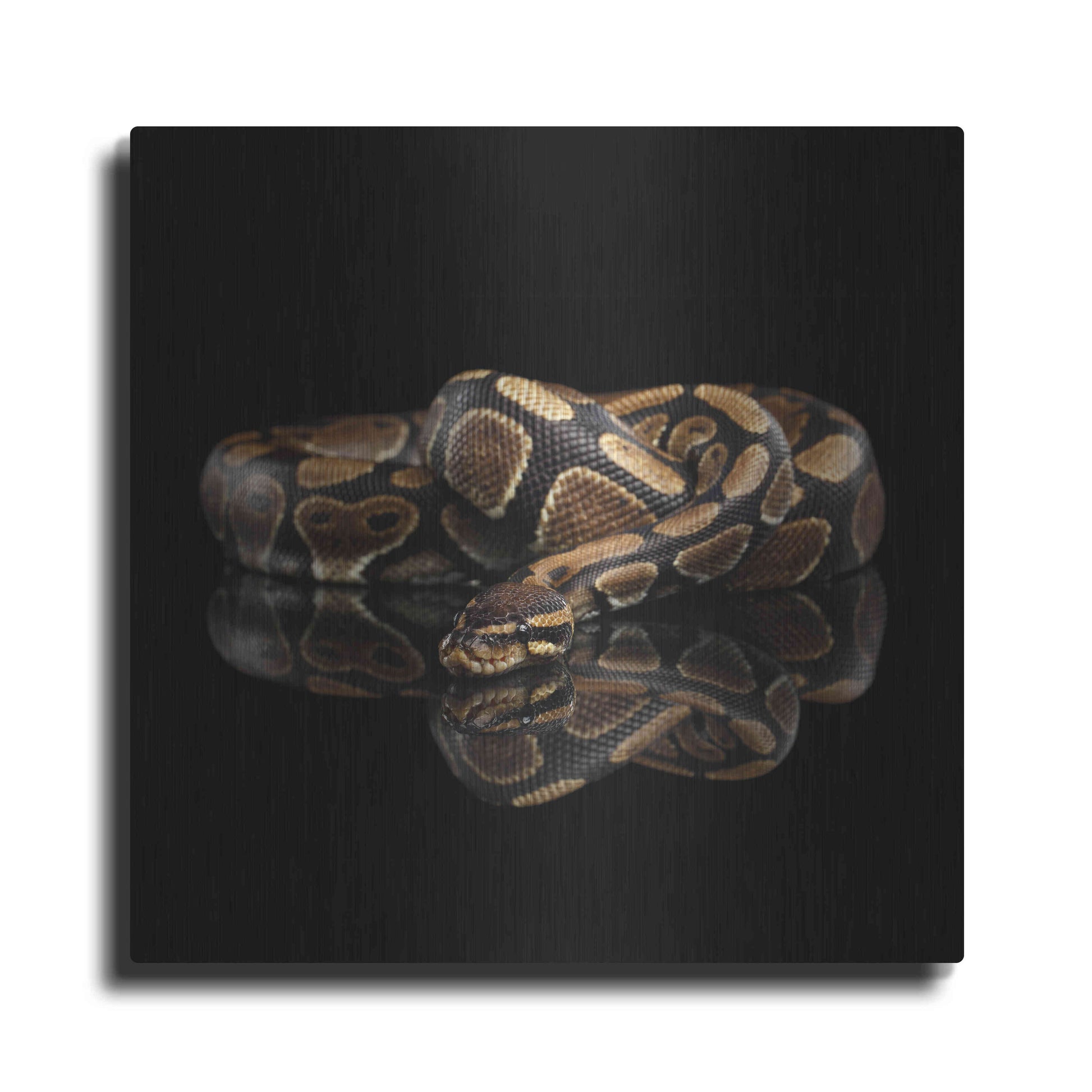 Luxe Metal Art 'Twisted' by Epic Portfolio Metal Wall Art