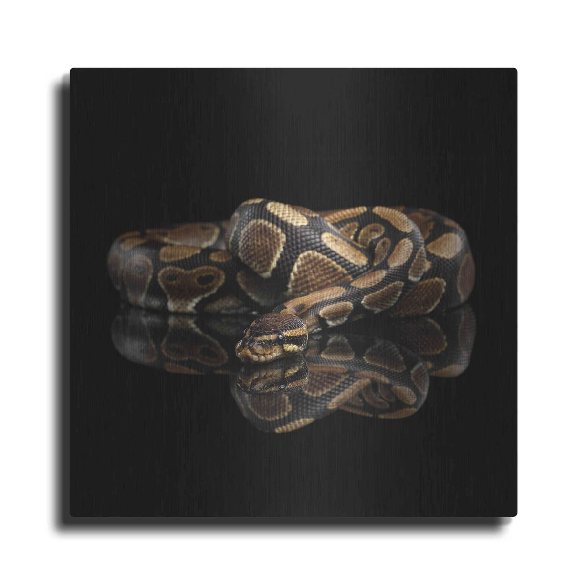Luxe Metal Art 'Twisted' by Epic Portfolio Metal Wall Art