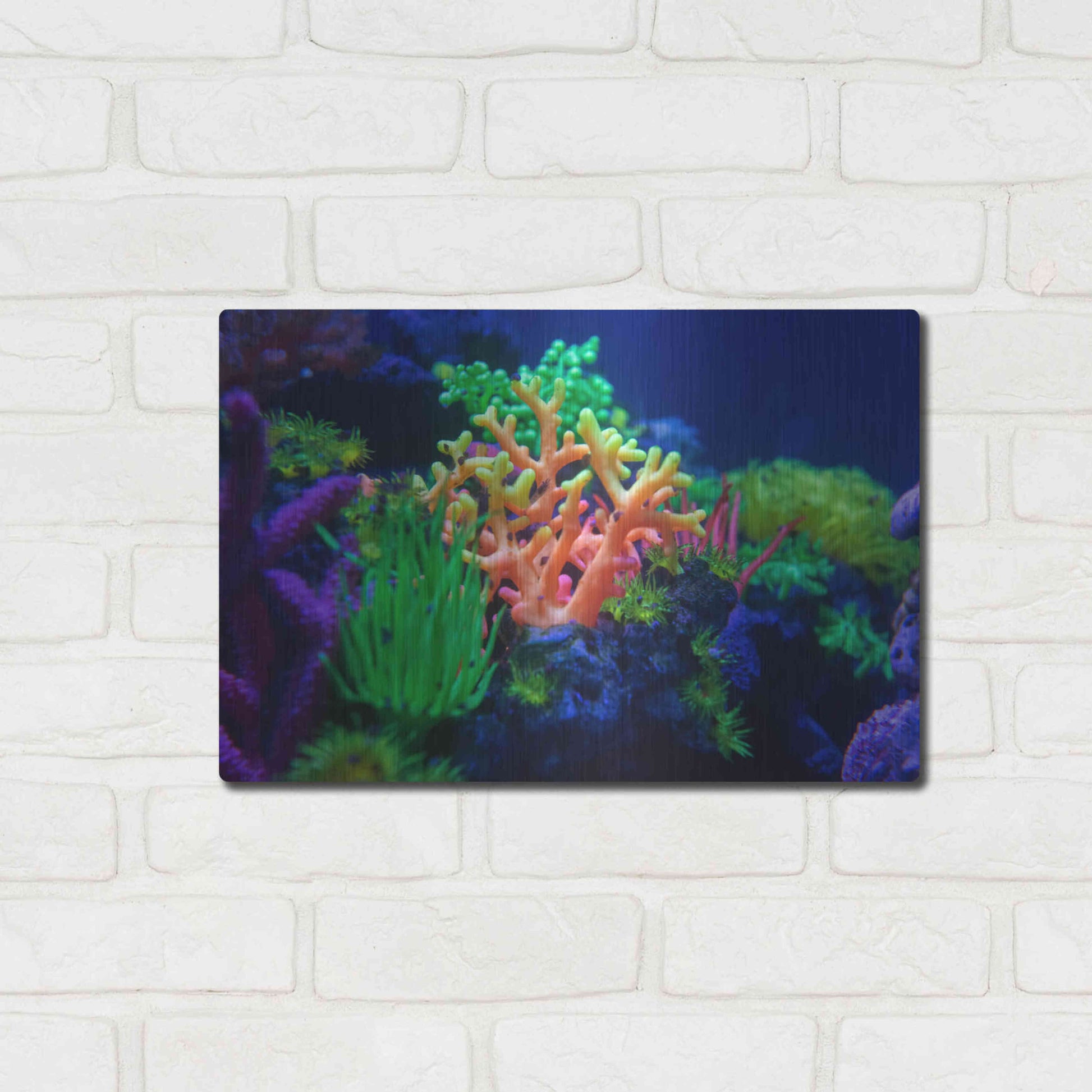 Luxe Metal Art 'Underwater Amazons' by Epic Portfolio Metal Wall Art,16x12