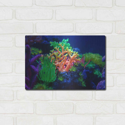 Luxe Metal Art 'Underwater Amazons' by Epic Portfolio Metal Wall Art,16x12