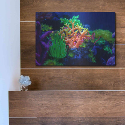 Luxe Metal Art 'Underwater Amazons' by Epic Portfolio Metal Wall Art,16x12