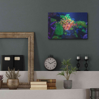 Luxe Metal Art 'Underwater Amazons' by Epic Portfolio Metal Wall Art,16x12