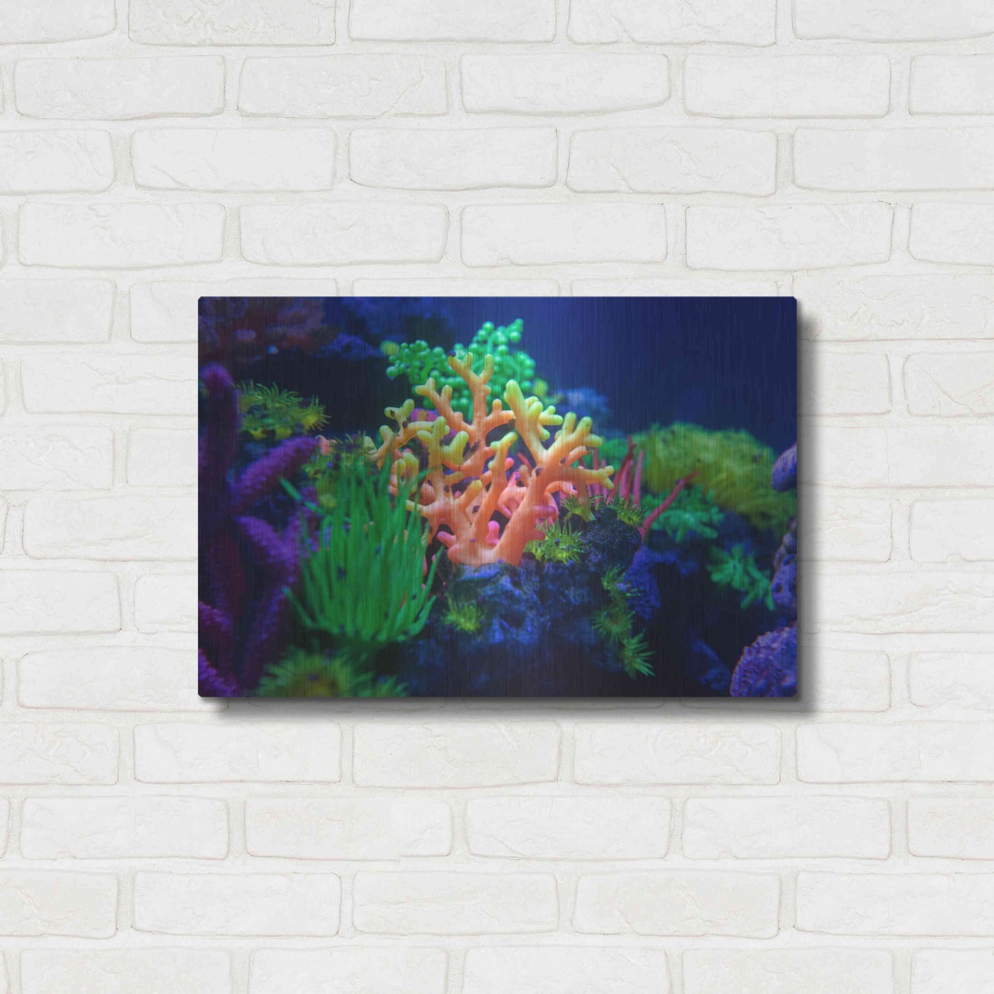 Luxe Metal Art 'Underwater Amazons' by Epic Portfolio Metal Wall Art,24x16