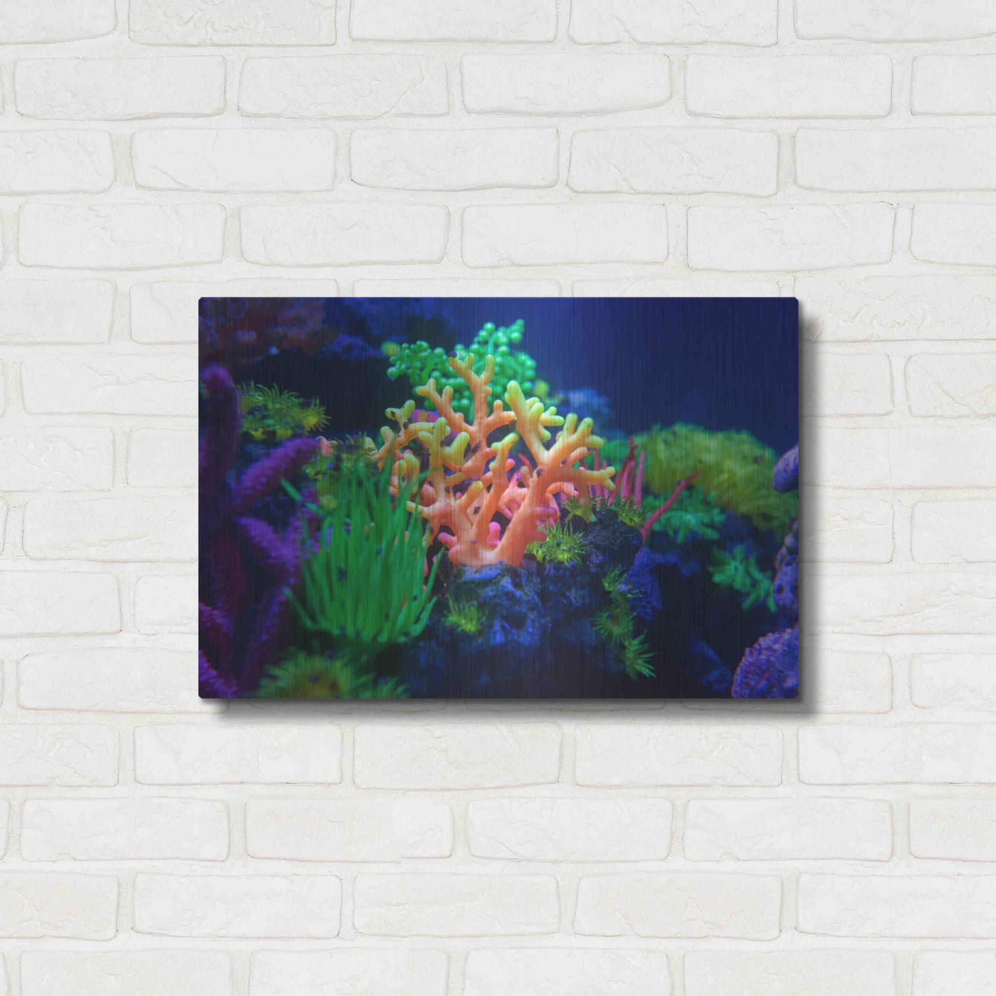 Luxe Metal Art 'Underwater Amazons' by Epic Portfolio Metal Wall Art,24x16