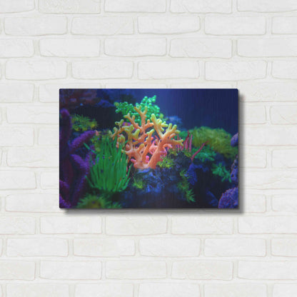 Luxe Metal Art 'Underwater Amazons' by Epic Portfolio Metal Wall Art,24x16