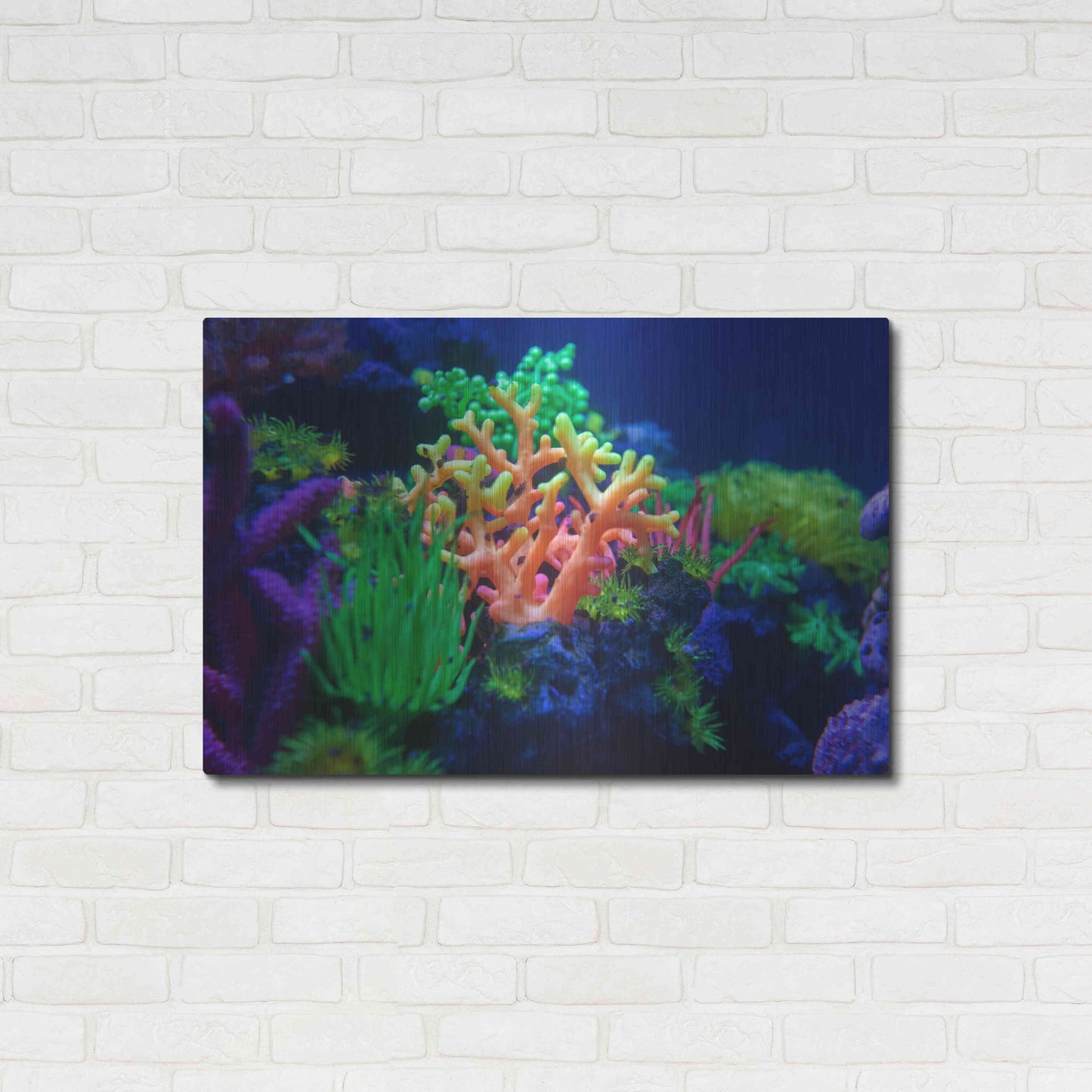 Luxe Metal Art 'Underwater Amazons' by Epic Portfolio Metal Wall Art,36x24