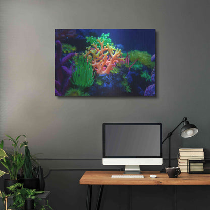Luxe Metal Art 'Underwater Amazons' by Epic Portfolio Metal Wall Art,36x24