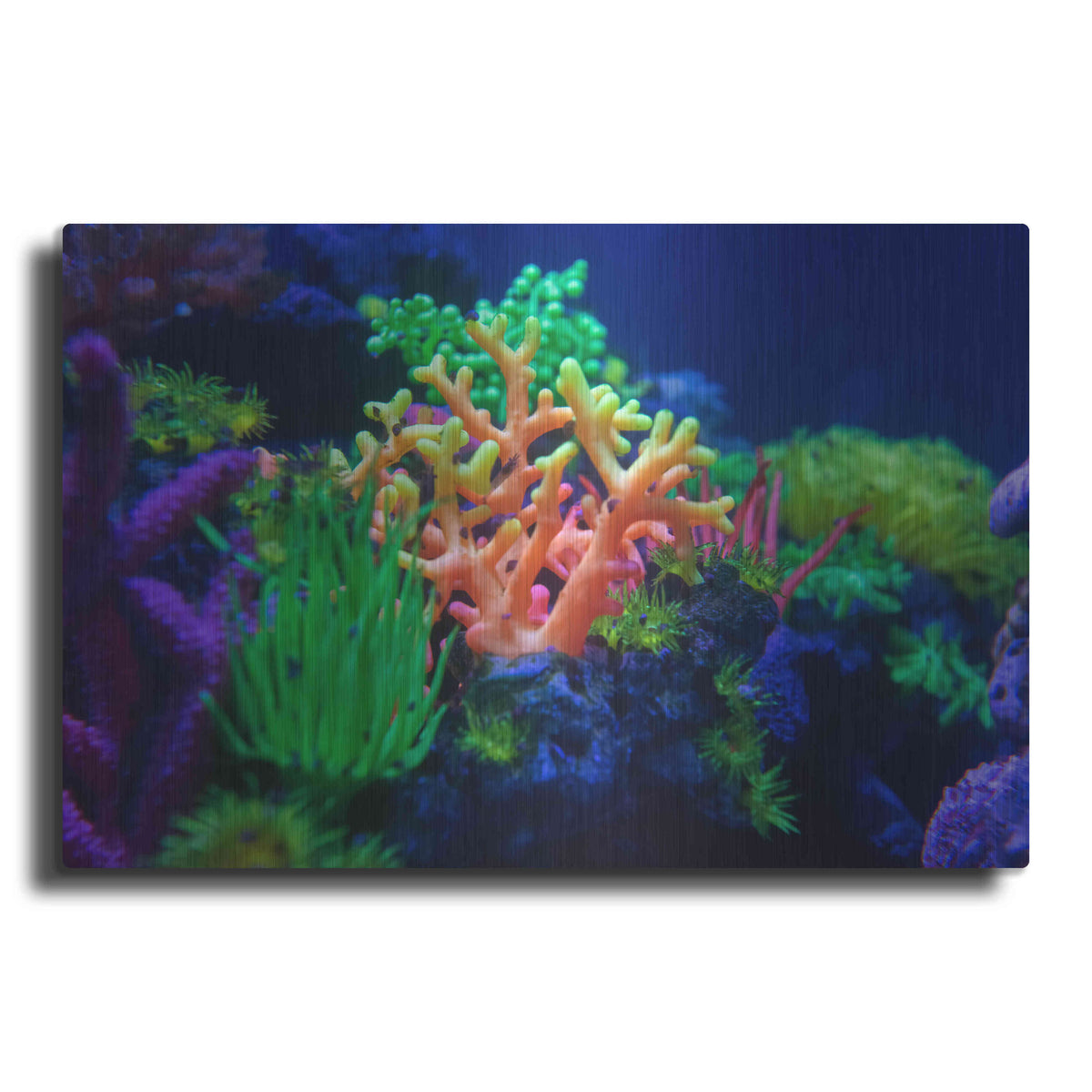 Luxe Metal Art 'Underwater Amazons' by Epic Portfolio Metal Wall Art