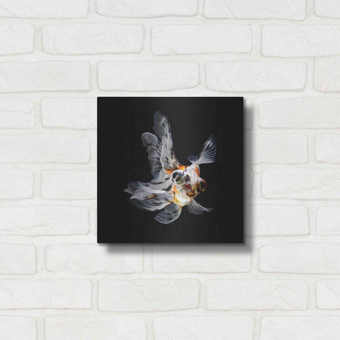 Luxe Metal Art 'You Did What' by Epic Portfolio Metal Wall Art,12x12