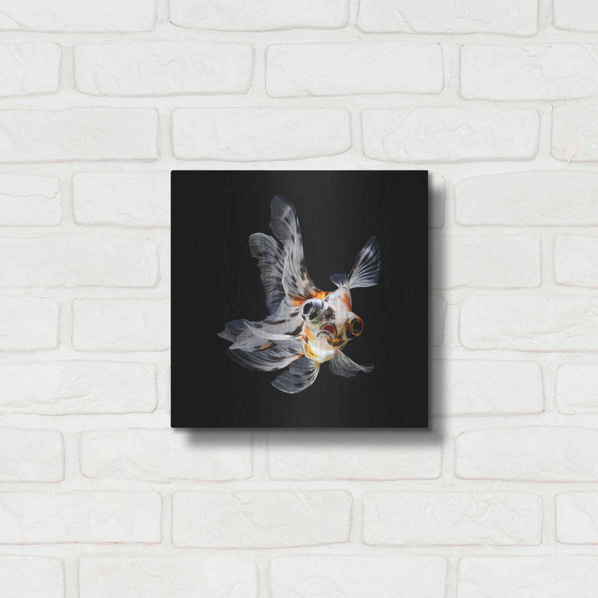 Luxe Metal Art 'You Did What' by Epic Portfolio Metal Wall Art,12x12