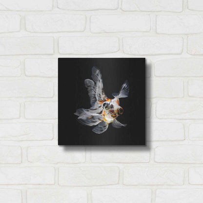 Luxe Metal Art 'You Did What' by Epic Portfolio Metal Wall Art,12x12