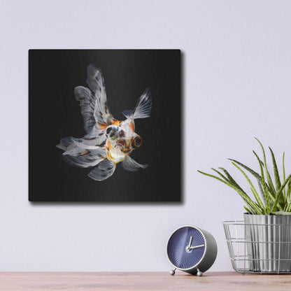 Luxe Metal Art 'You Did What' by Epic Portfolio Metal Wall Art,12x12