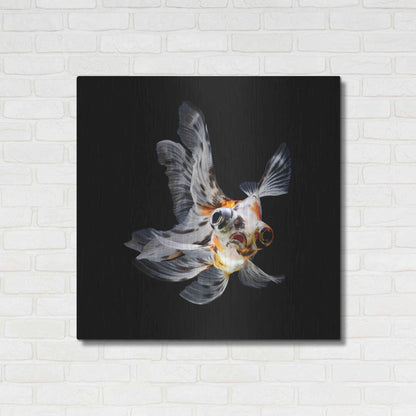 Luxe Metal Art 'You Did What' by Epic Portfolio Metal Wall Art,36x36