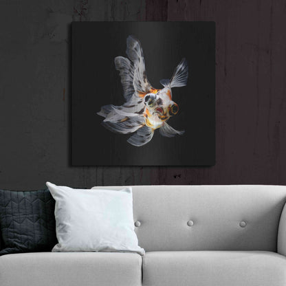 Luxe Metal Art 'You Did What' by Epic Portfolio Metal Wall Art,36x36