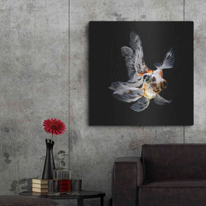 Luxe Metal Art 'You Did What' by Epic Portfolio Metal Wall Art,36x36