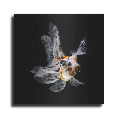 Luxe Metal Art 'You Did What' by Epic Portfolio Metal Wall Art