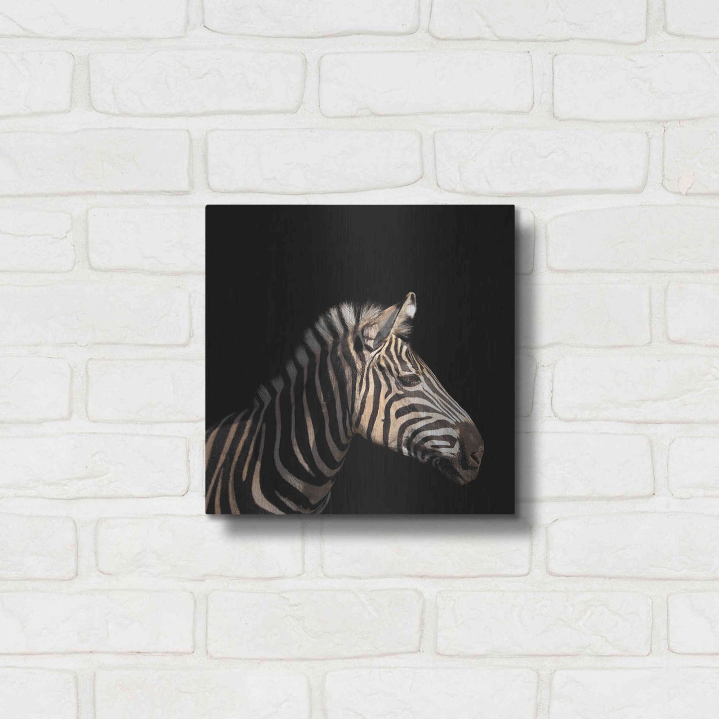 Luxe Metal Art 'Zebra' by Epic Portfolio Metal Wall Art,12x12