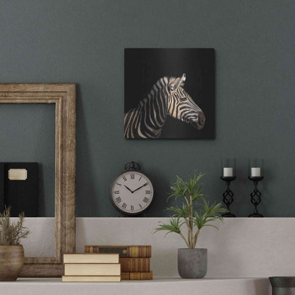Luxe Metal Art 'Zebra' by Epic Portfolio Metal Wall Art,12x12